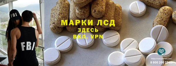 хмурый Осинники