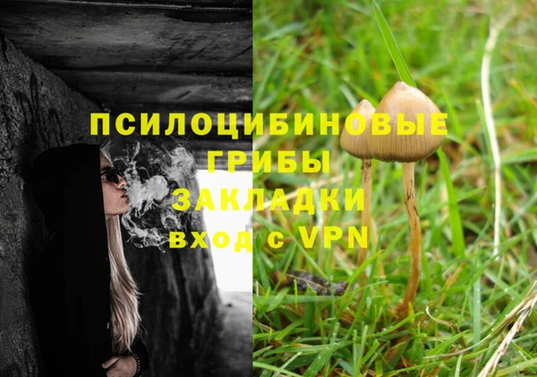 хмурый Осинники