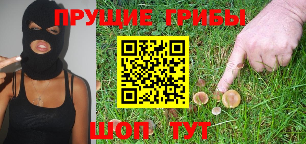 как найти закладки  Бахчисарай  Галлюциногенные грибы MAGIC MUSHROOMS 